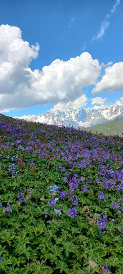 Ushguli Hotel Riho Dış mekan fotoğraf