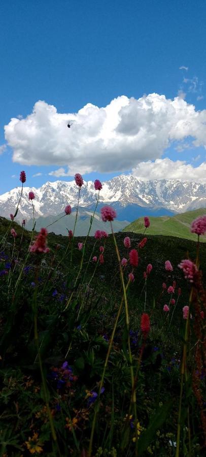 Ushguli Hotel Riho Dış mekan fotoğraf