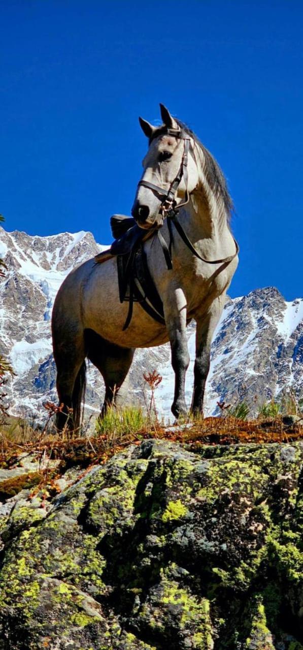 Ushguli Hotel Riho Dış mekan fotoğraf