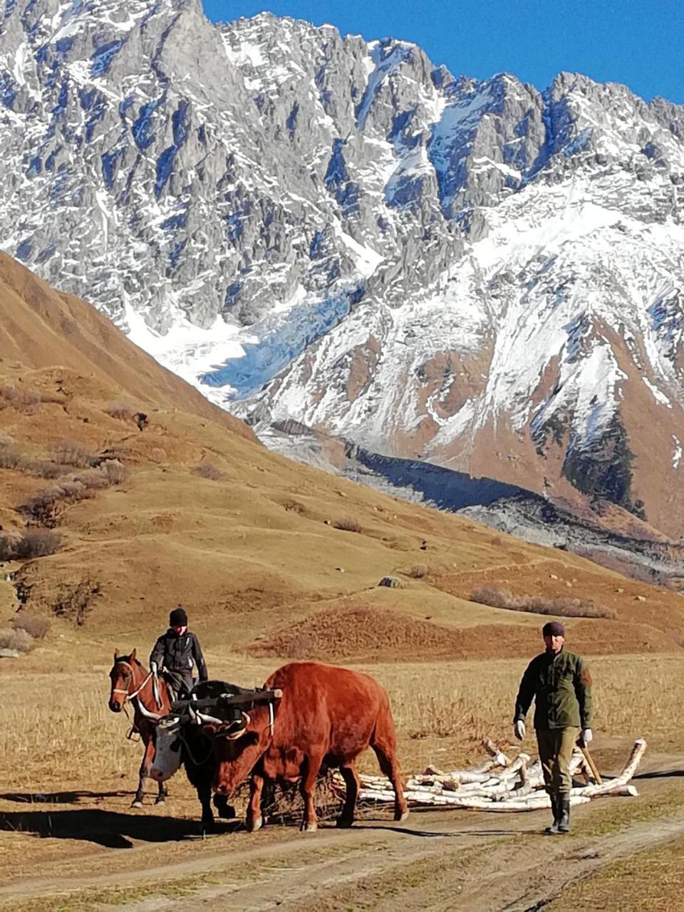 Ushguli Hotel Riho Dış mekan fotoğraf