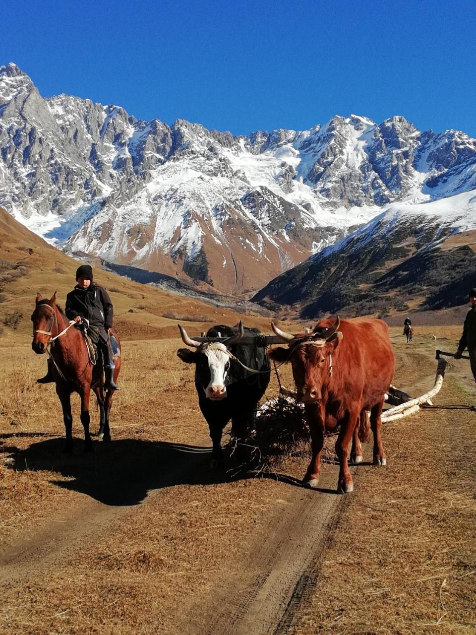 Ushguli Hotel Riho Dış mekan fotoğraf